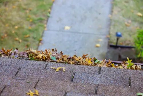 Leafshield-Gutter-Guards--in-Aumsville-Oregon-leafshield-gutter-guards-aumsville-oregon.jpg-image